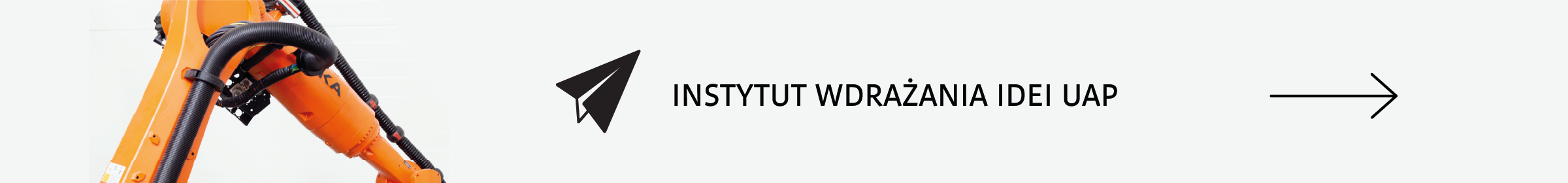 Baner Instytut Wdrażania Idei UAP